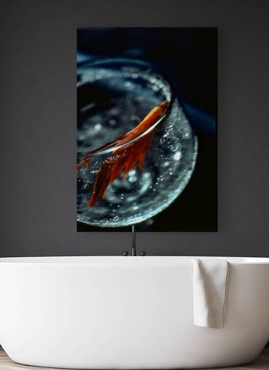 Drinks Like A Fish by Lot10T