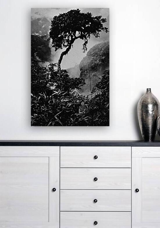 INCA Trail Tree by Lot10T