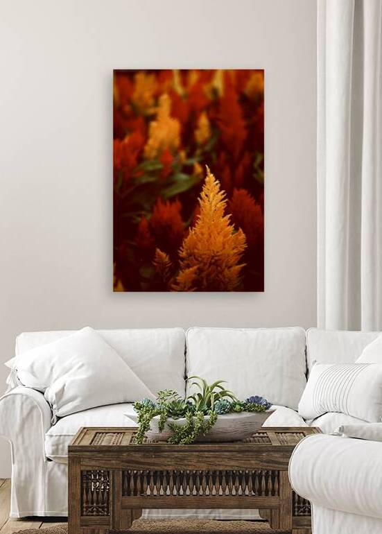 City Flower by Lot10T