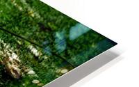  CRP HD Metal print