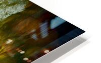 Thayer I HD Metal print