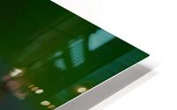 Sprout HD Metal print