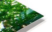Nanny Tree HD Metal print