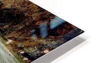 Playa Venao HD Metal print