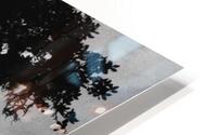 INCA Trail Tree HD Metal print