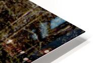 Buehlah HD Metal print
