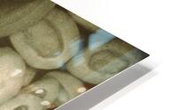 Edible HD Metal print