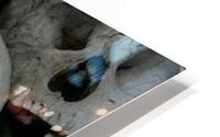 the Killing Fields HD Metal print