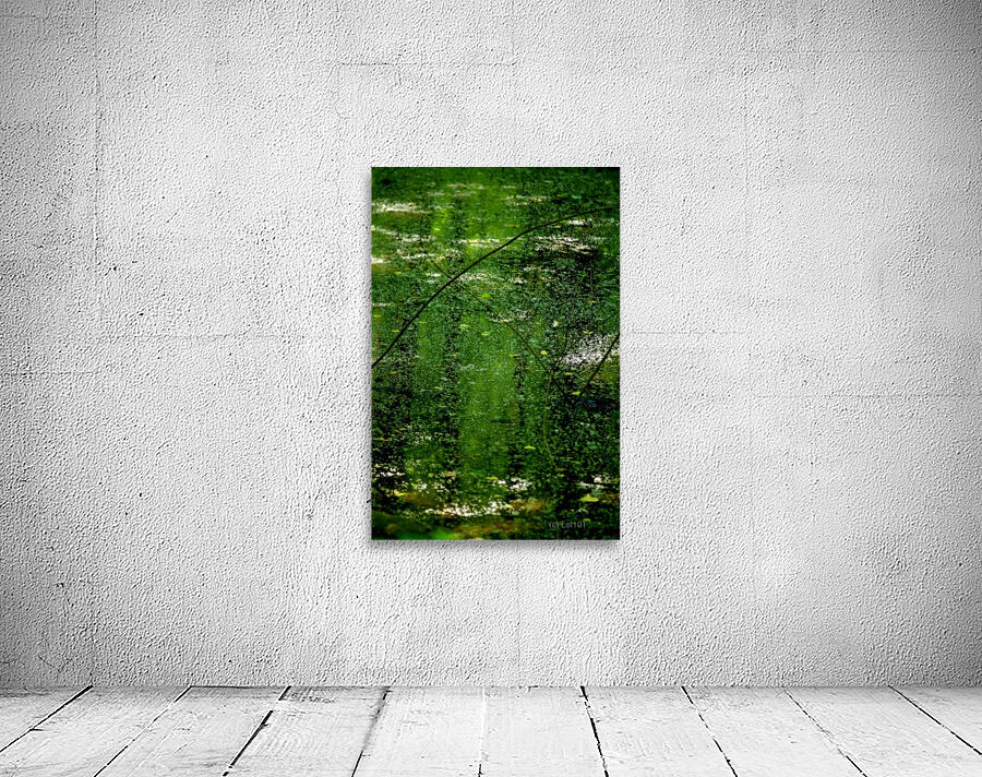  CRP Wall Preview