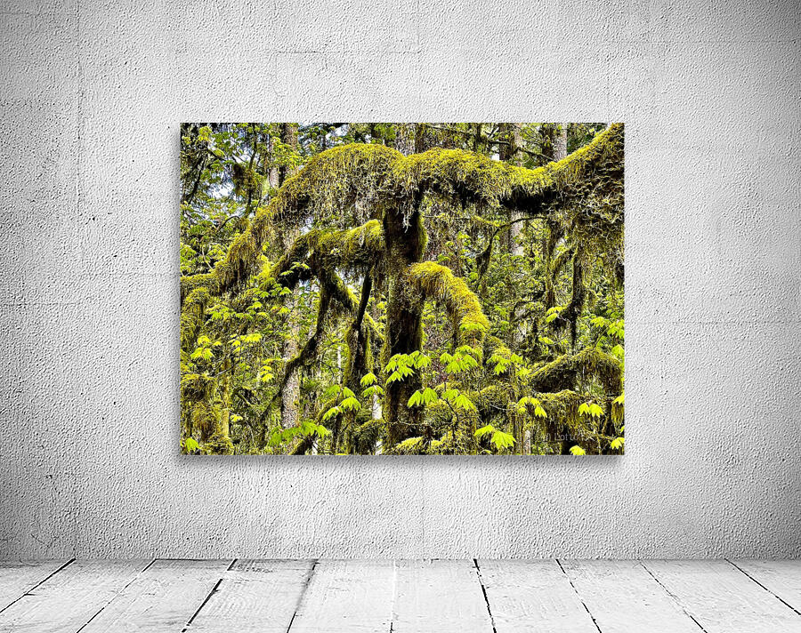 Silver Falls I Wall Preview