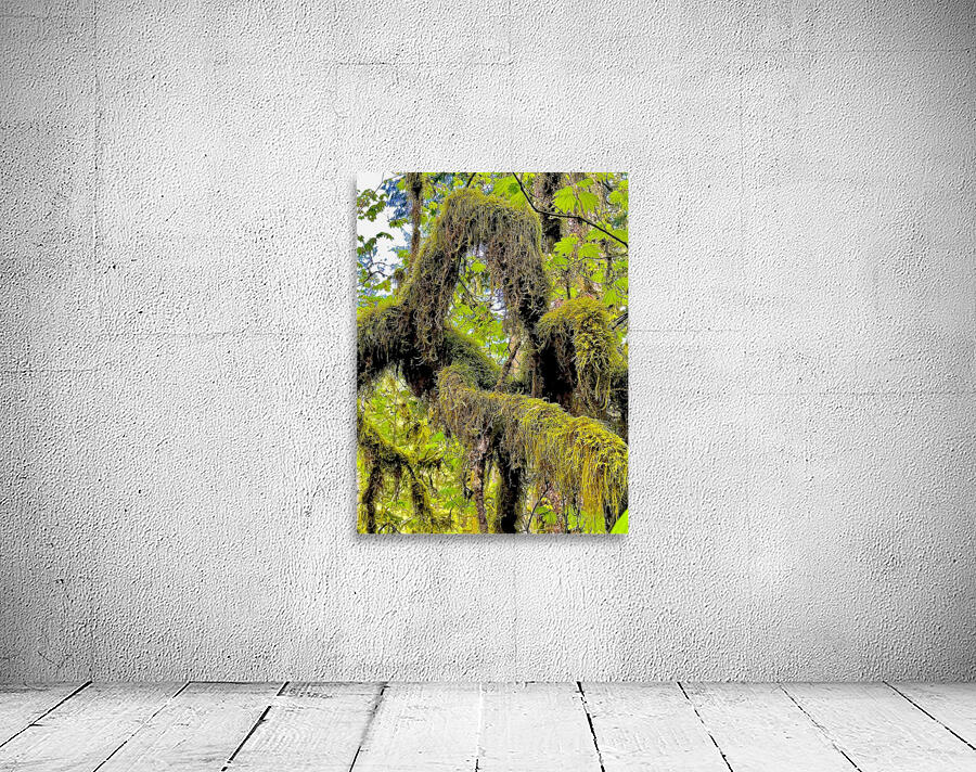 Silver Falls II Wall Preview