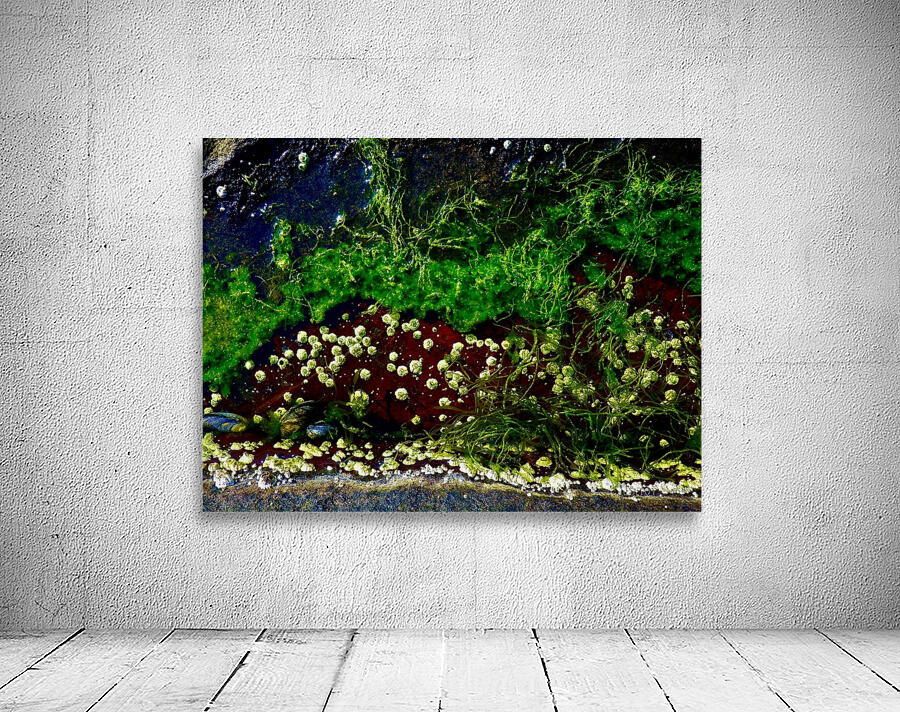 OIME04 Wall Preview