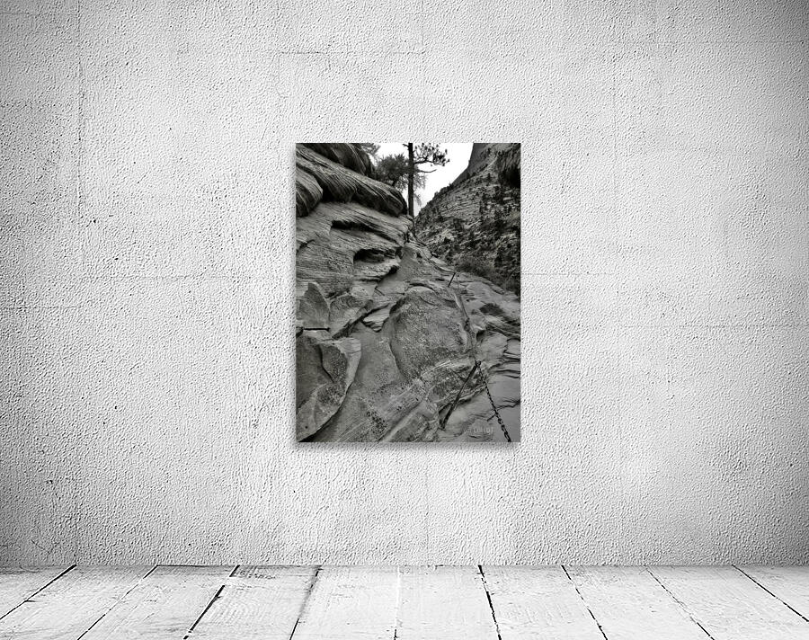 Zion AL Wall Preview