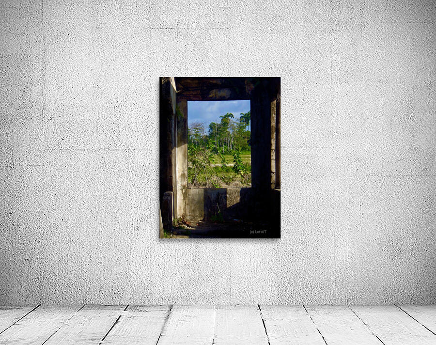 Folly Wall Preview