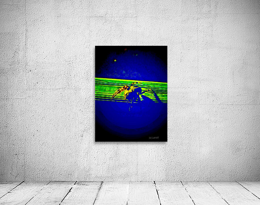 DJ LEGS Wall Preview