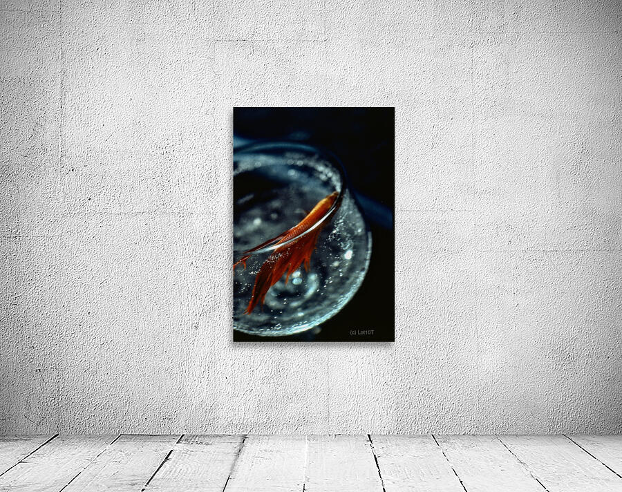 Drinks Like A Fish Wall Preview