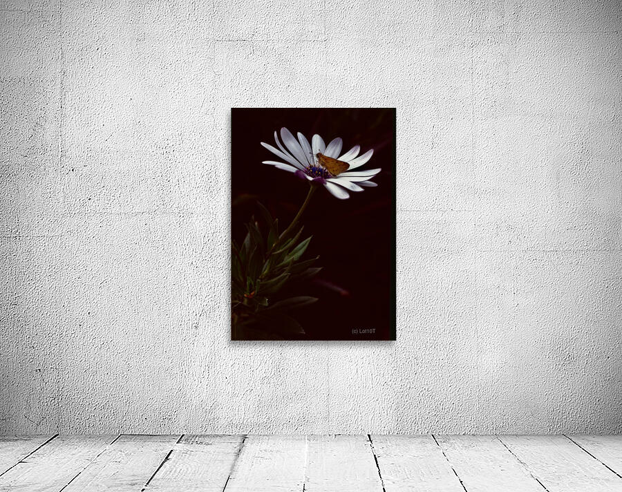 Flor de Lima Wall Preview