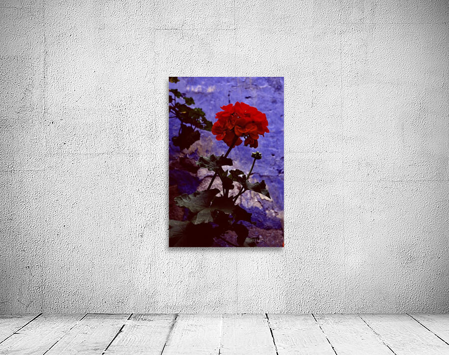 LPFLOR I Wall Preview