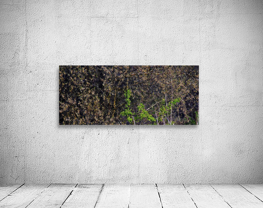 PIF Wall Preview