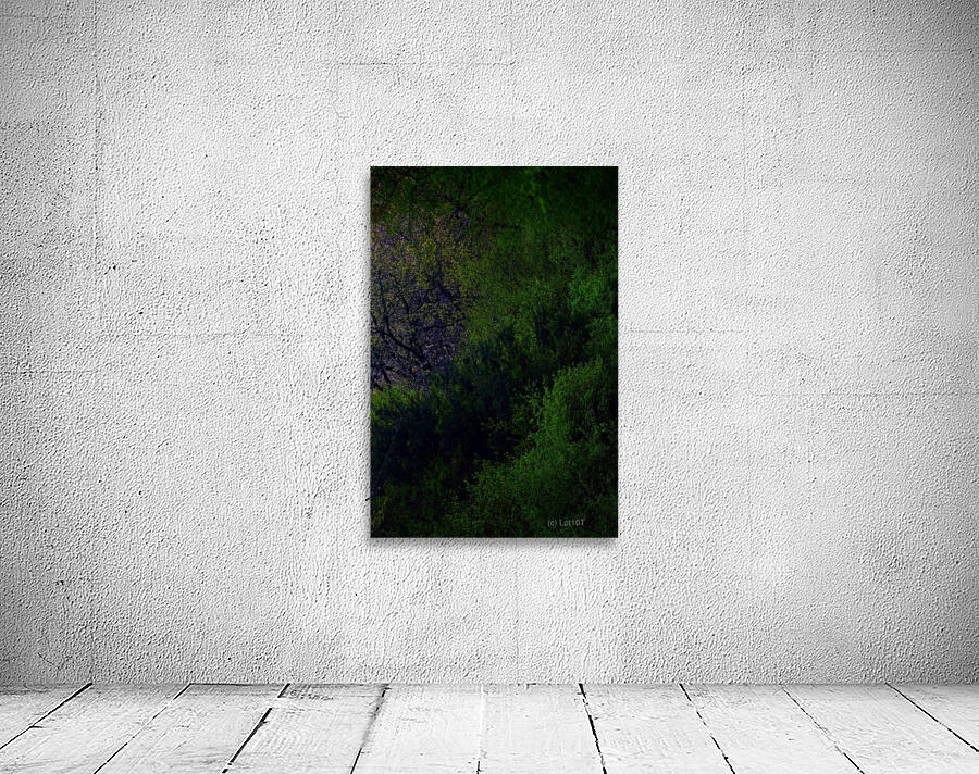 Lapham Wall Preview