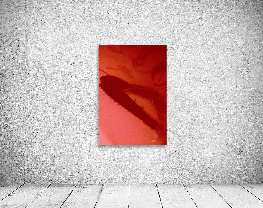 SEXY Wall Preview