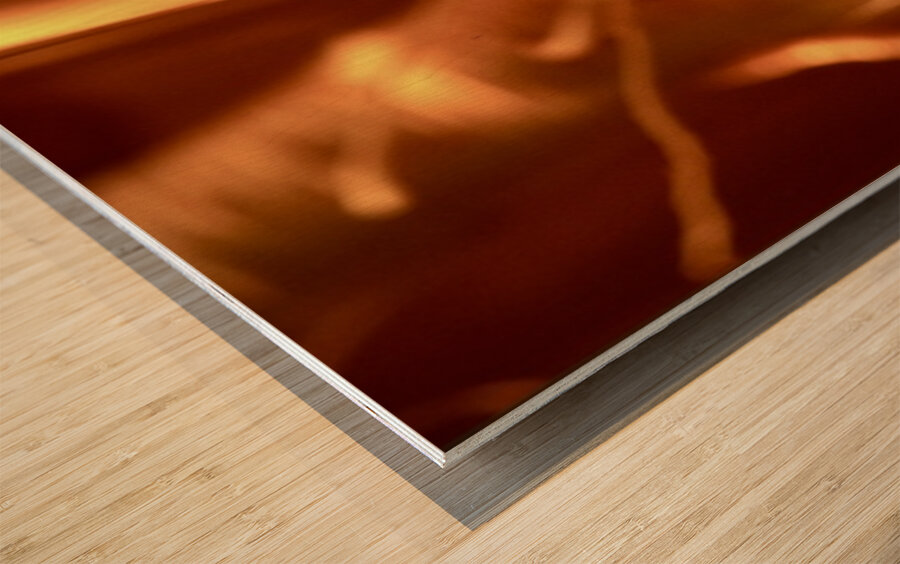 the NAM 03 III Wood print
