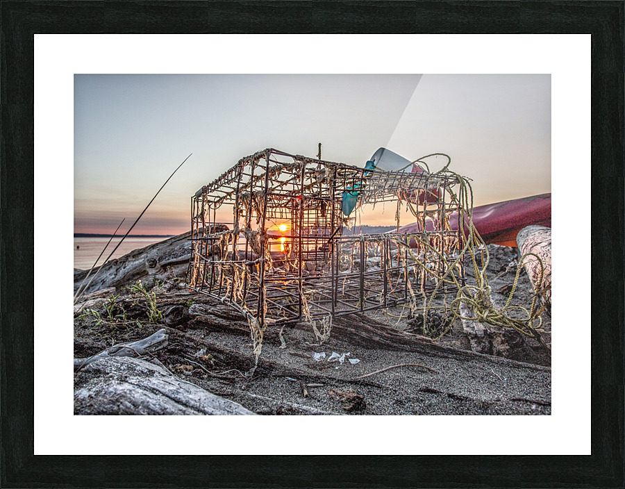 IMG 1305 2 Picture Frame print