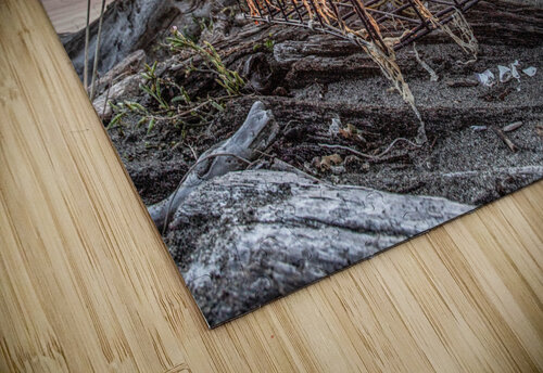 IMG 1305 2 Tim Davis Images puzzle