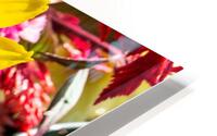 IMG 2657 HD Metal print