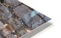IMG 2006 HD Metal print