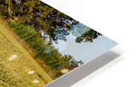 IMG 0373 HD Metal print