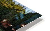 IMG 0414 HD Metal print