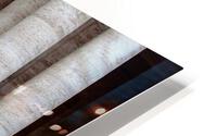 PB249863d HD Metal print