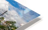 IMG 6656 HD Metal print