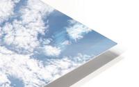IMG 1385 HD Metal print