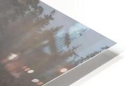 IMG 2020 2 HD Metal print