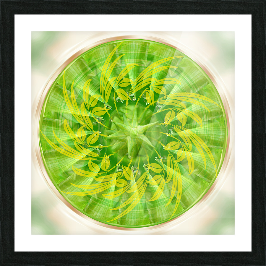 Mandala 3 Picture Frame print