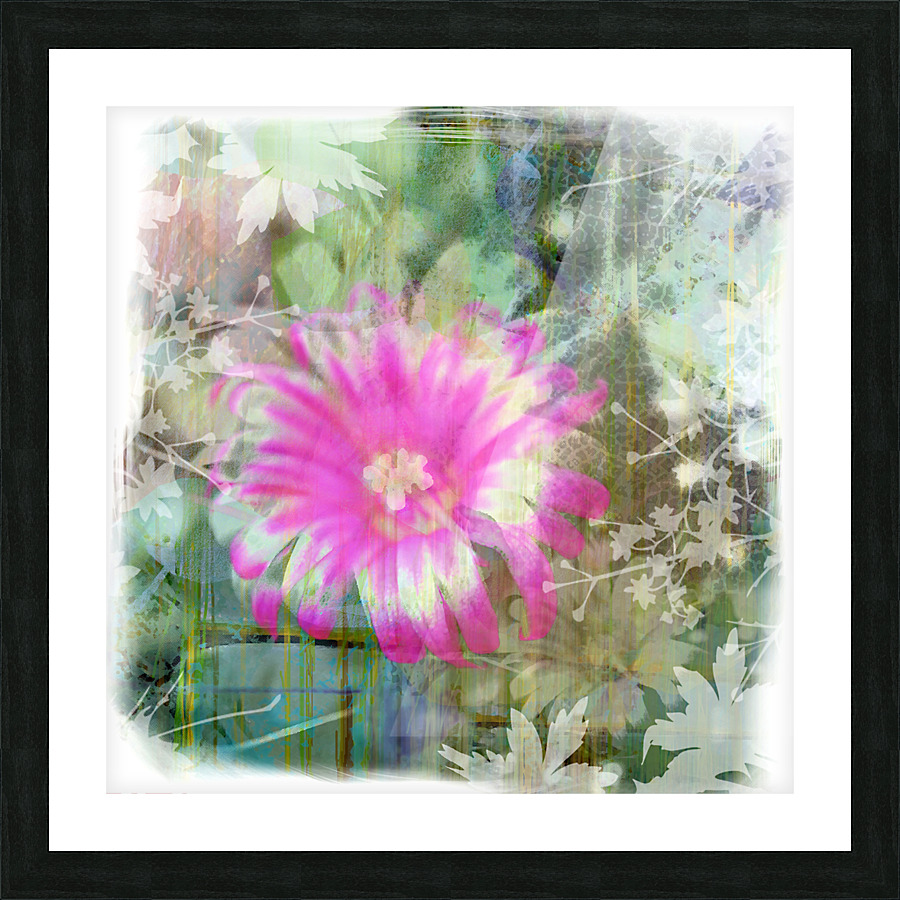 Pink Cactus Flower Picture Frame print