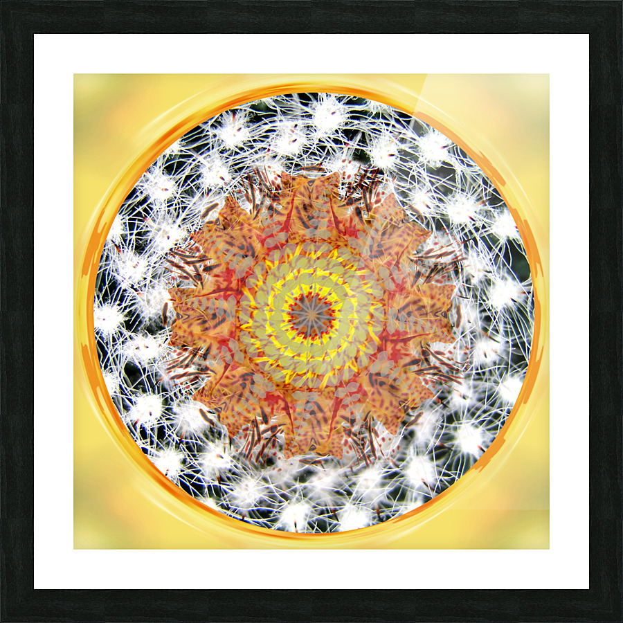 Mandala 2 Picture Frame print