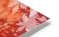 Orange Flower HD Metal print