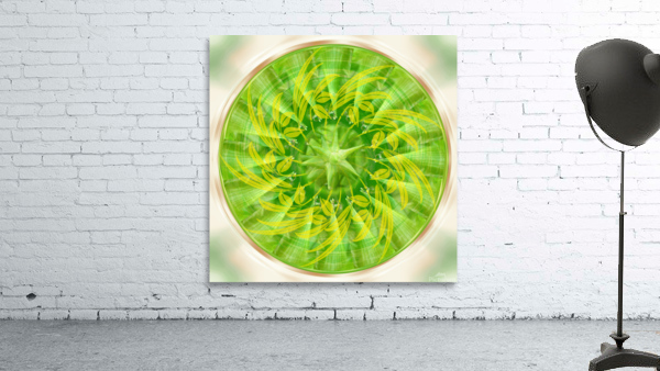 Mandala 3 Wall Preview