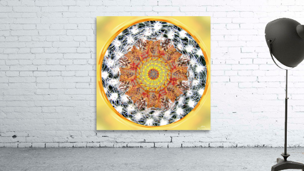 Mandala 2 Wall Preview