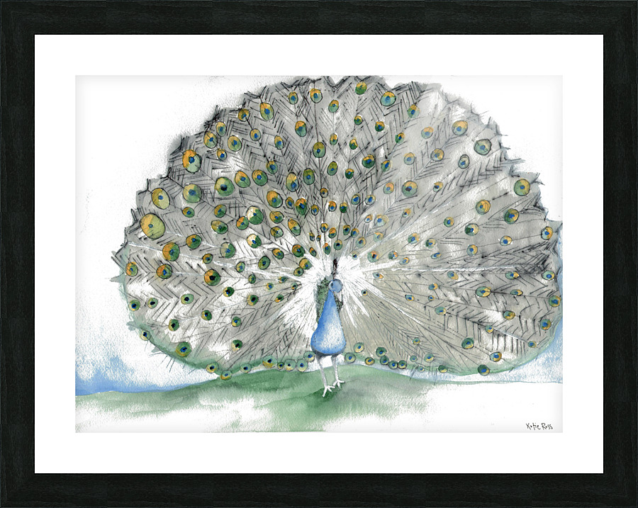 peacock Picture Frame print
