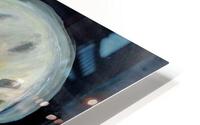Jellyfish HD Metal print