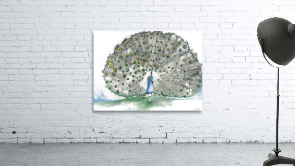 peacock Wall Preview