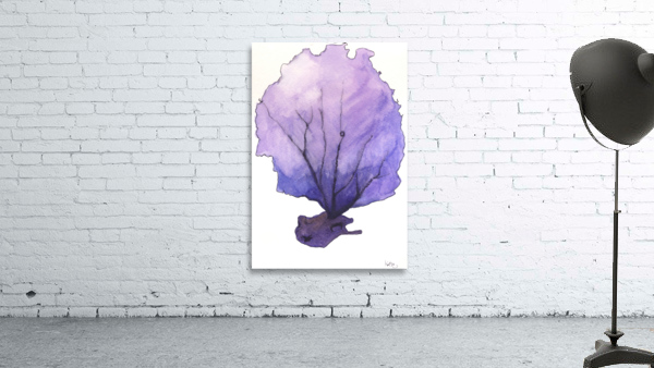 Sea Fan Wall Preview