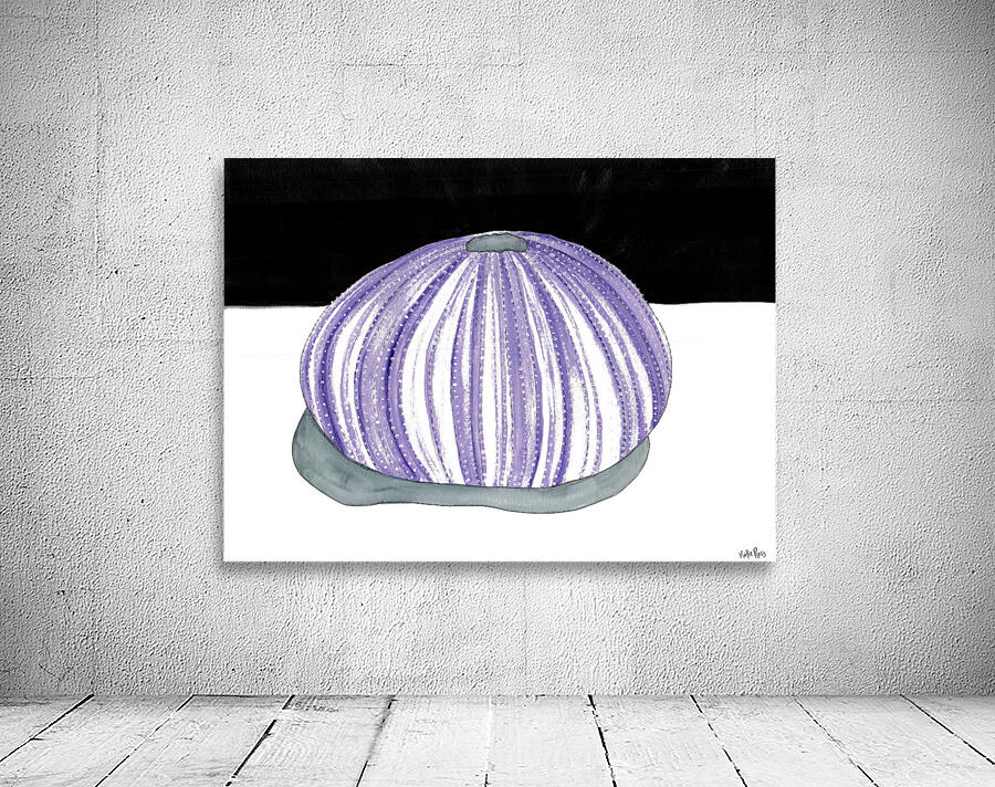 Purple Urchin Wall Preview