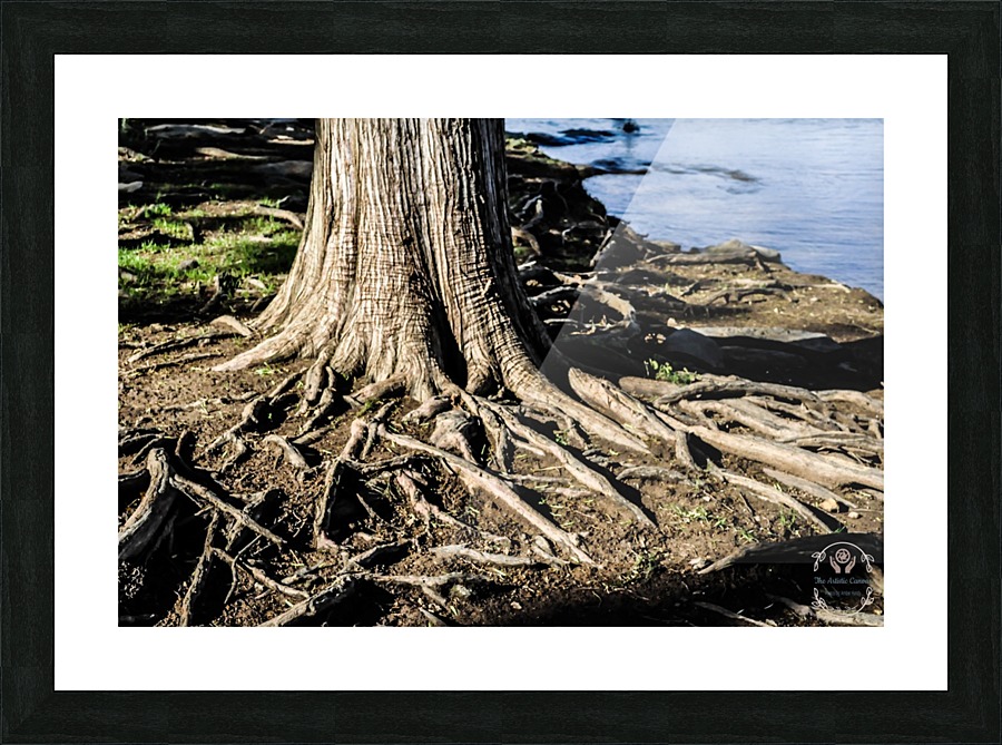 Strength Beneath Picture Frame print