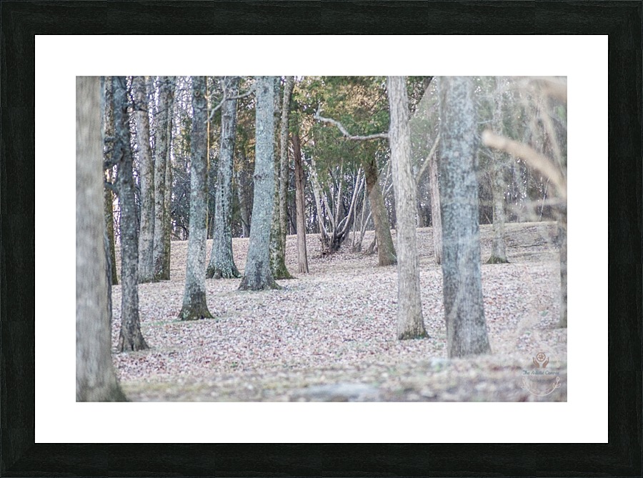 DSC_0124 Picture Frame print