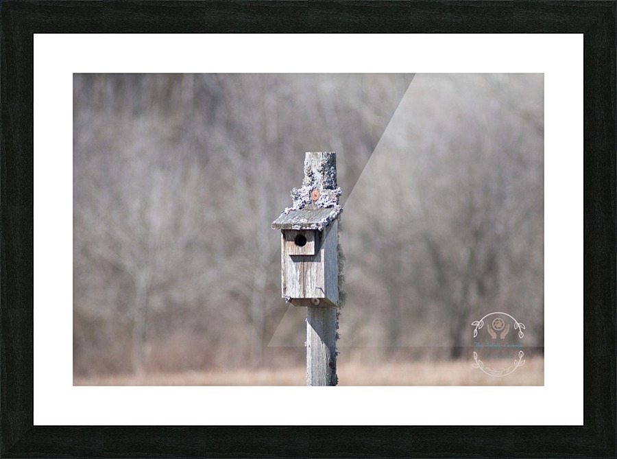 Abandoned Birdhouse  Picture Frame print